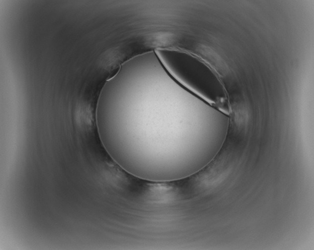 X0000112920380200908311302