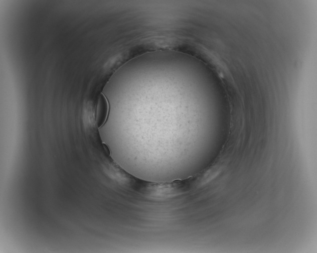 X0000112920384200908311302