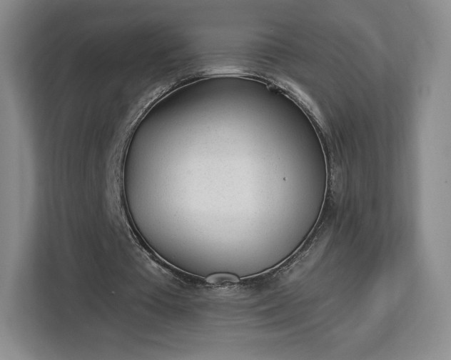 X0000112920385200908311301