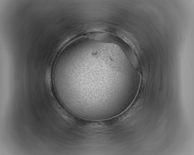 X0000112920386200908311301