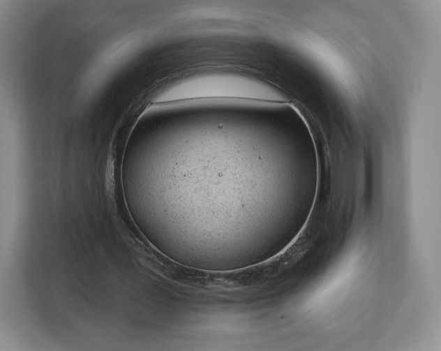 X0000112920387200908311301