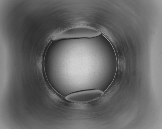 X0000112920389200908311301