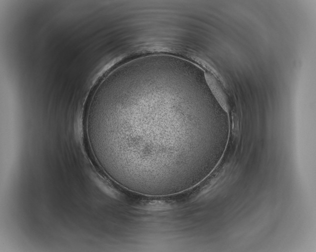 X0000112920390200908311301