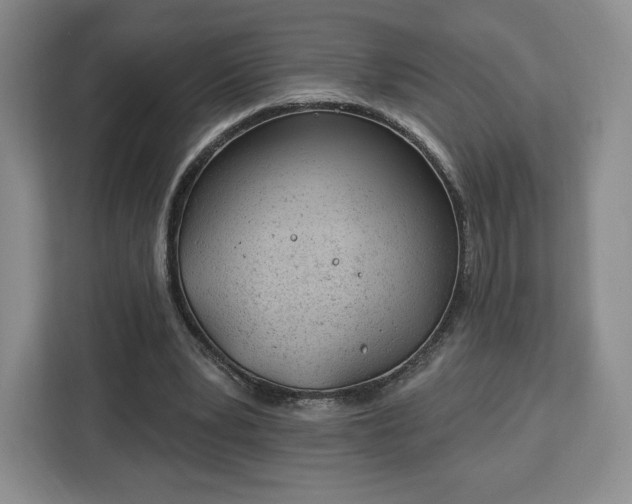 X0000112920391200908311301