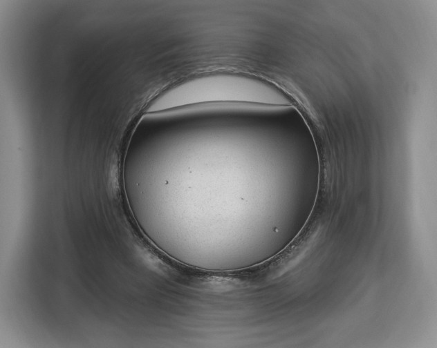 X0000112920393200908311301