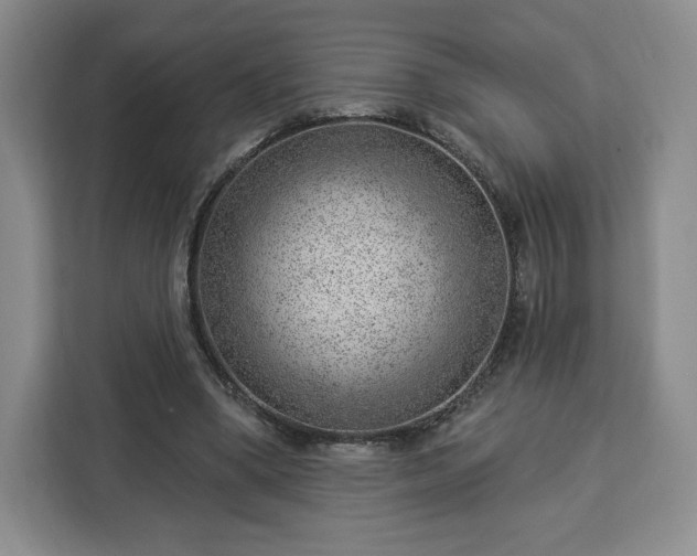 X0000112920394200908311301
