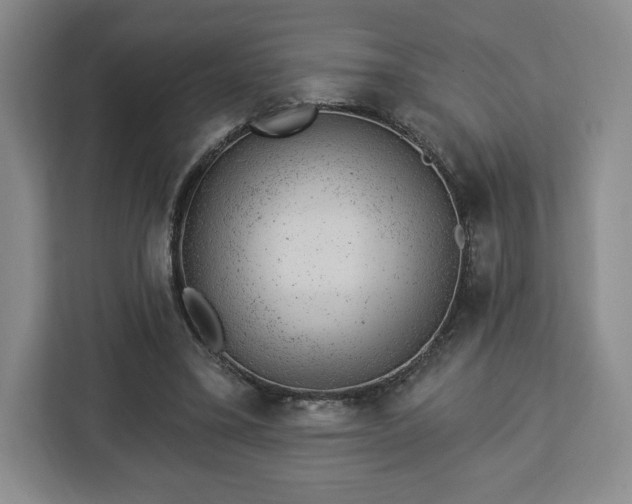 X0000112920395200908311301