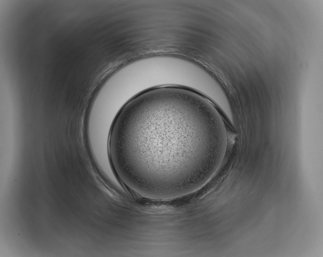 X0000112920397200908311301