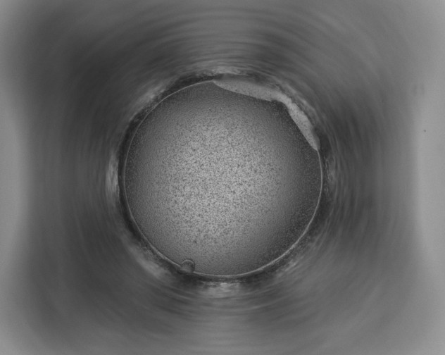 X0000112920398200908311301