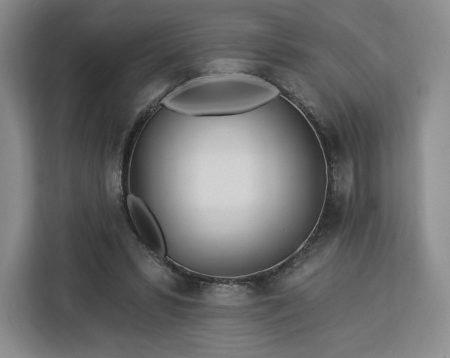 X0000112920399200908311301