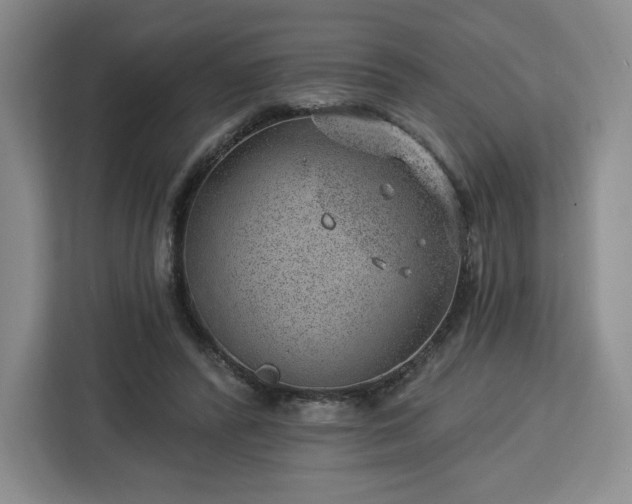 X0000112920400200908311301