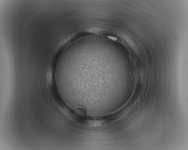 X0000112920404200908311301