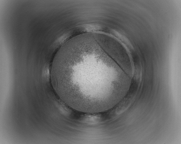 X0000112920405200908311301