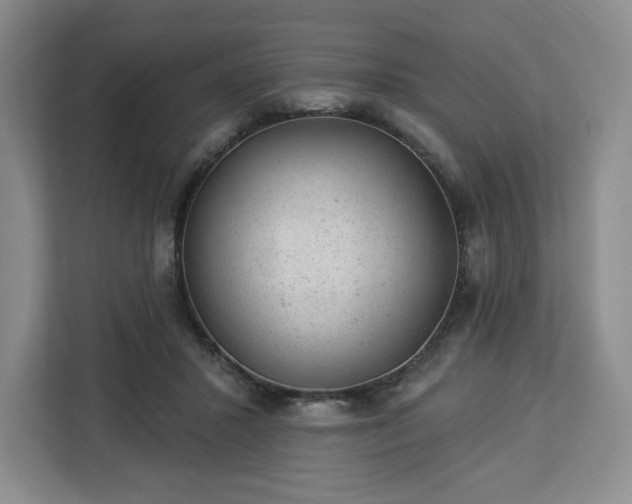X0000112920407200908311301