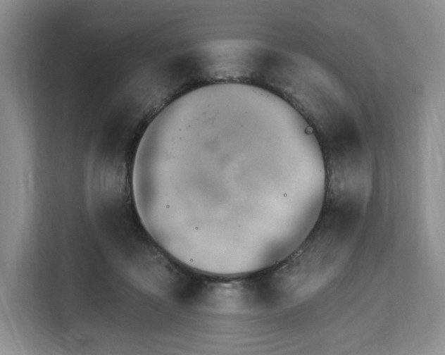 X0000112920411200908311301