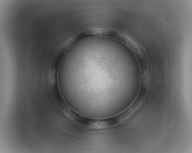 X0000112920413200908311301