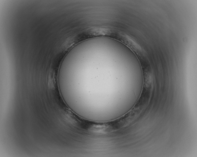 X0000112920414200908311301