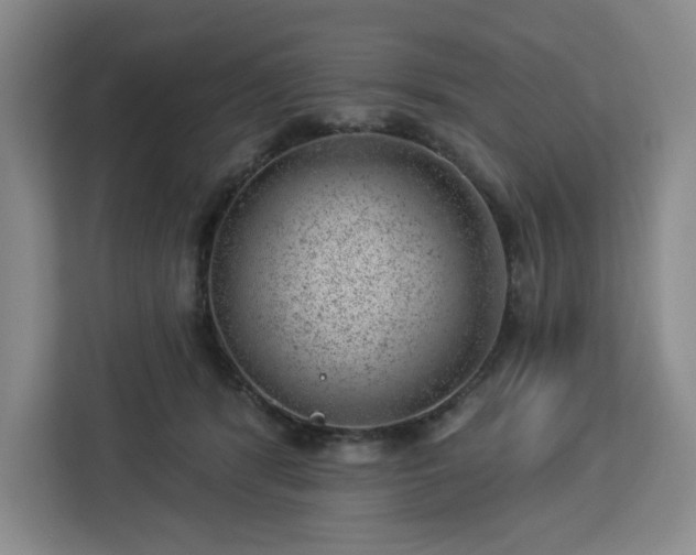 X0000112920416200908311301