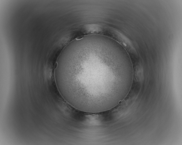 X0000112920417200908311301