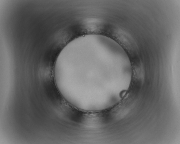 X0000112920419200908311301