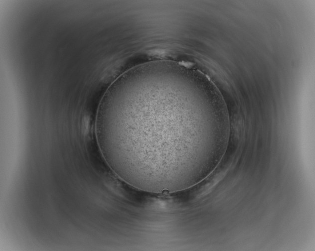 X0000112920420200908311301