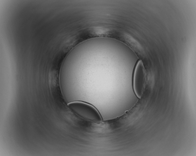 X0000112920421200908311301
