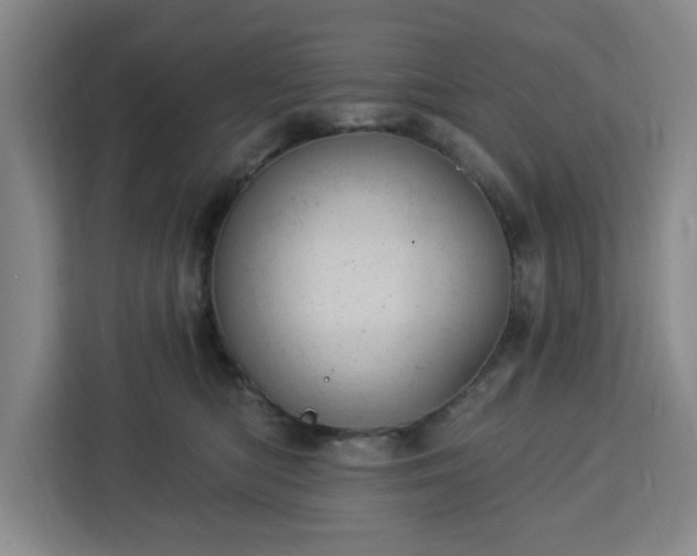 X0000112920422200908311301