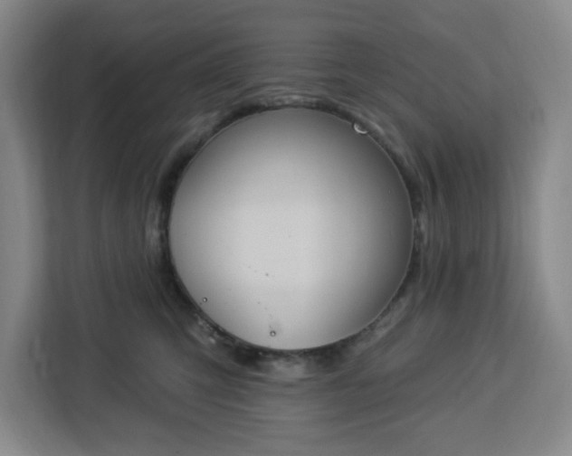 X0000112920423200908311301