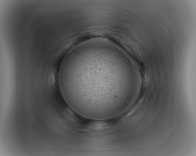 X0000112920424200908311301