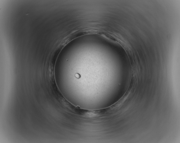 X0000112920425200908311301
