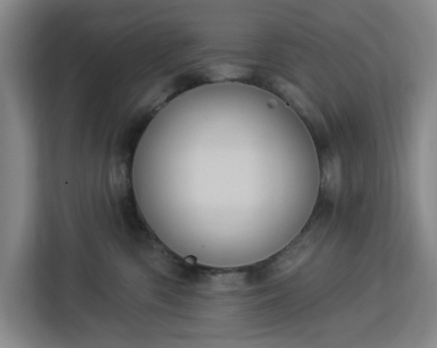X0000112920426200908311301