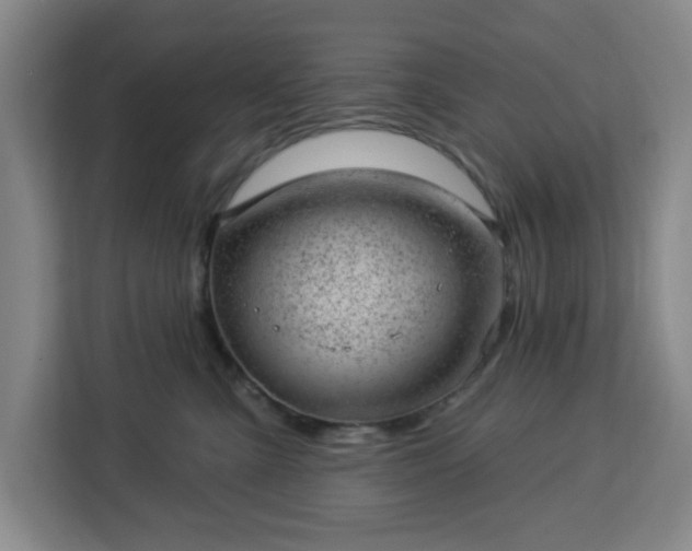 X0000112920427200908311301