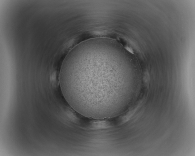 X0000112920428200908311301