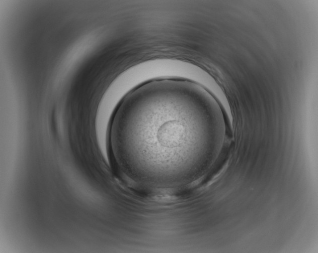 X0000112920429200908311301