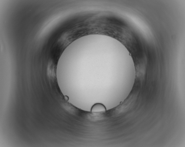 X0000112920431200908311301