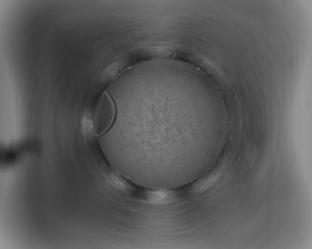 X0000112920432200908311301