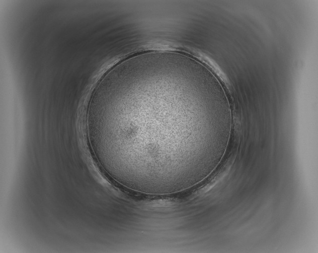 X0000112920433200908311300