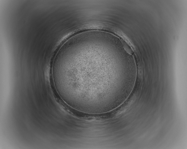 X0000112920434200908311300