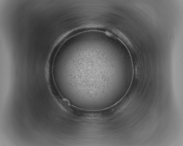 X0000112920436200908311300