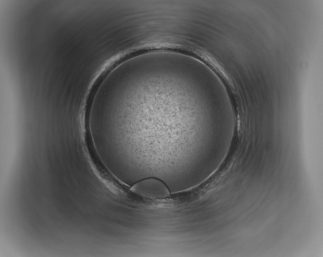 X0000112920438200908311300