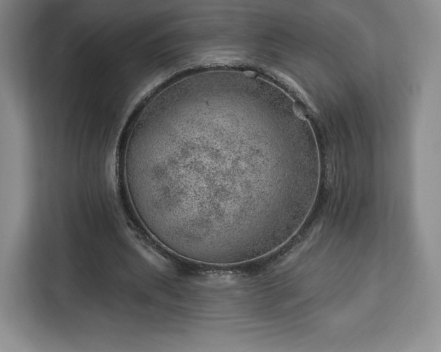 X0000112920439200908311300