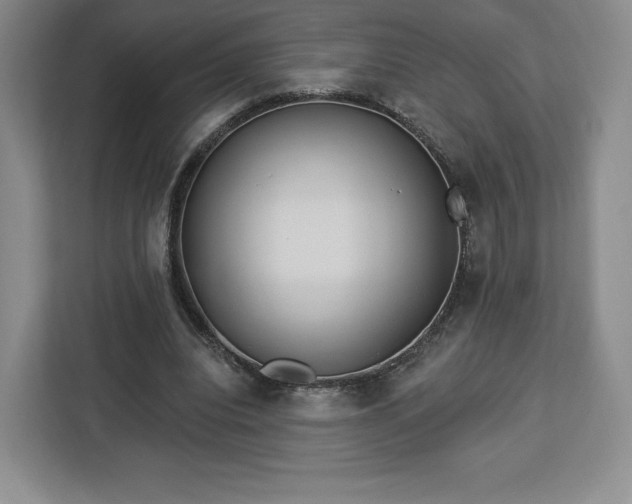 X0000112920440200908311300
