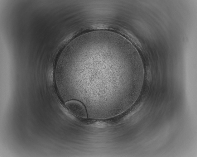 X0000112920441200908311300