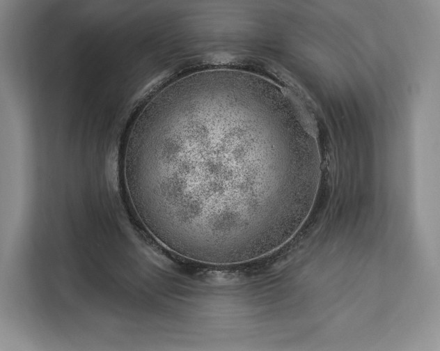 X0000112920442200908311300