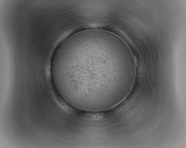 X0000112920443200908311300