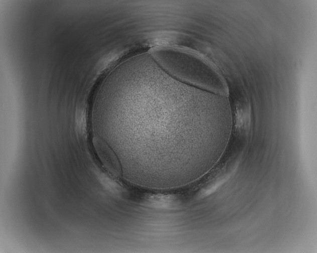 X0000112920444200908311300