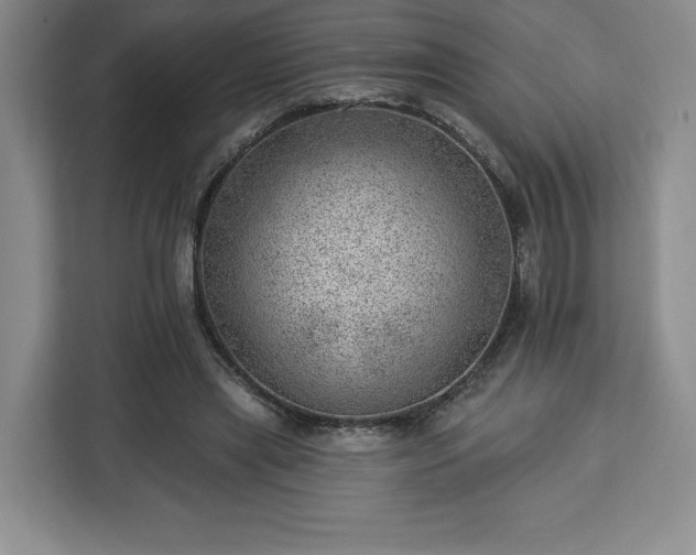 X0000112920445200908311300