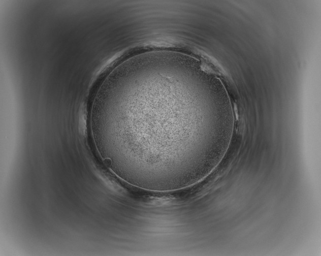 X0000112920446200908311300