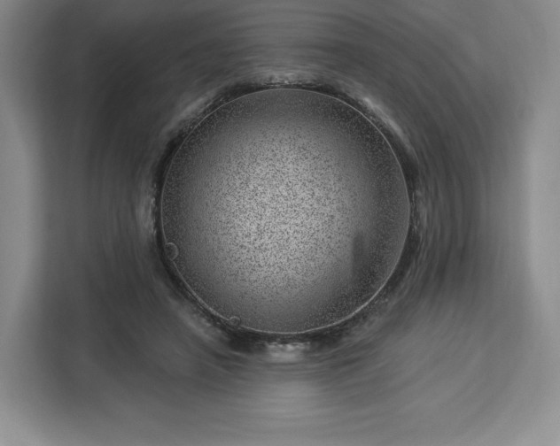 X0000112920450200908311300