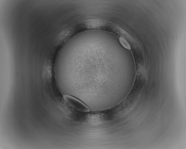 X0000112920452200908311300